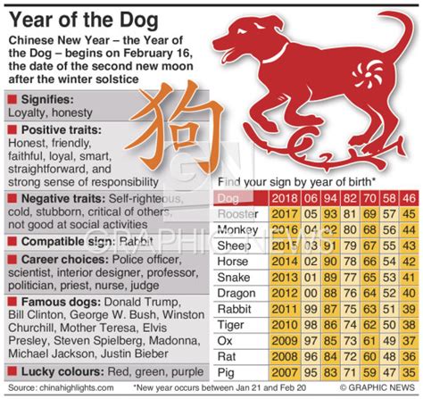 The Lucky Year of The Dog 